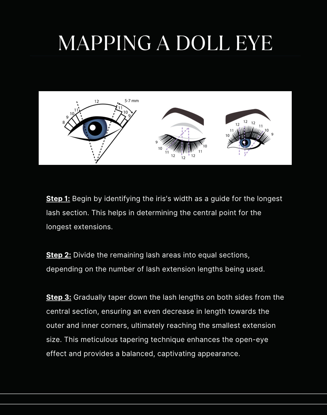 LASH MANUAL (customizable)